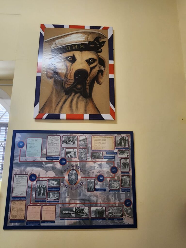 Simons Town History Museum: A Step Back in Time